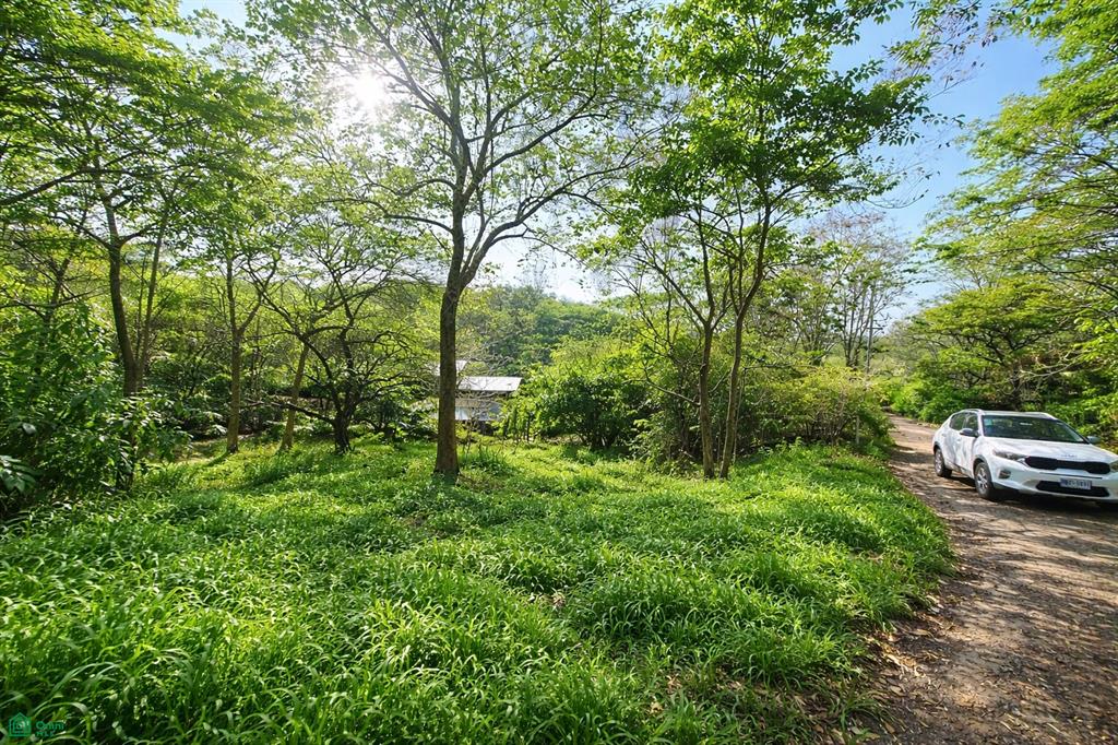  bed Land For Sale in Santa Cruz, Guanacaste - 1