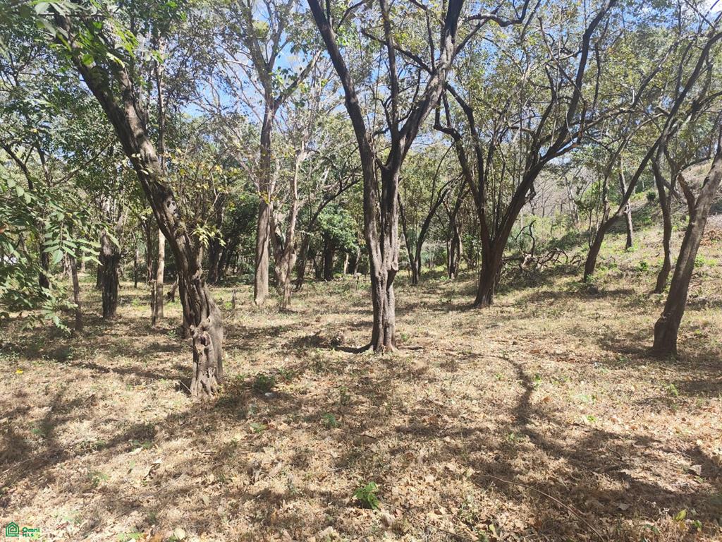  bed Land For Sale in Tamarindo, Guanacaste - 1