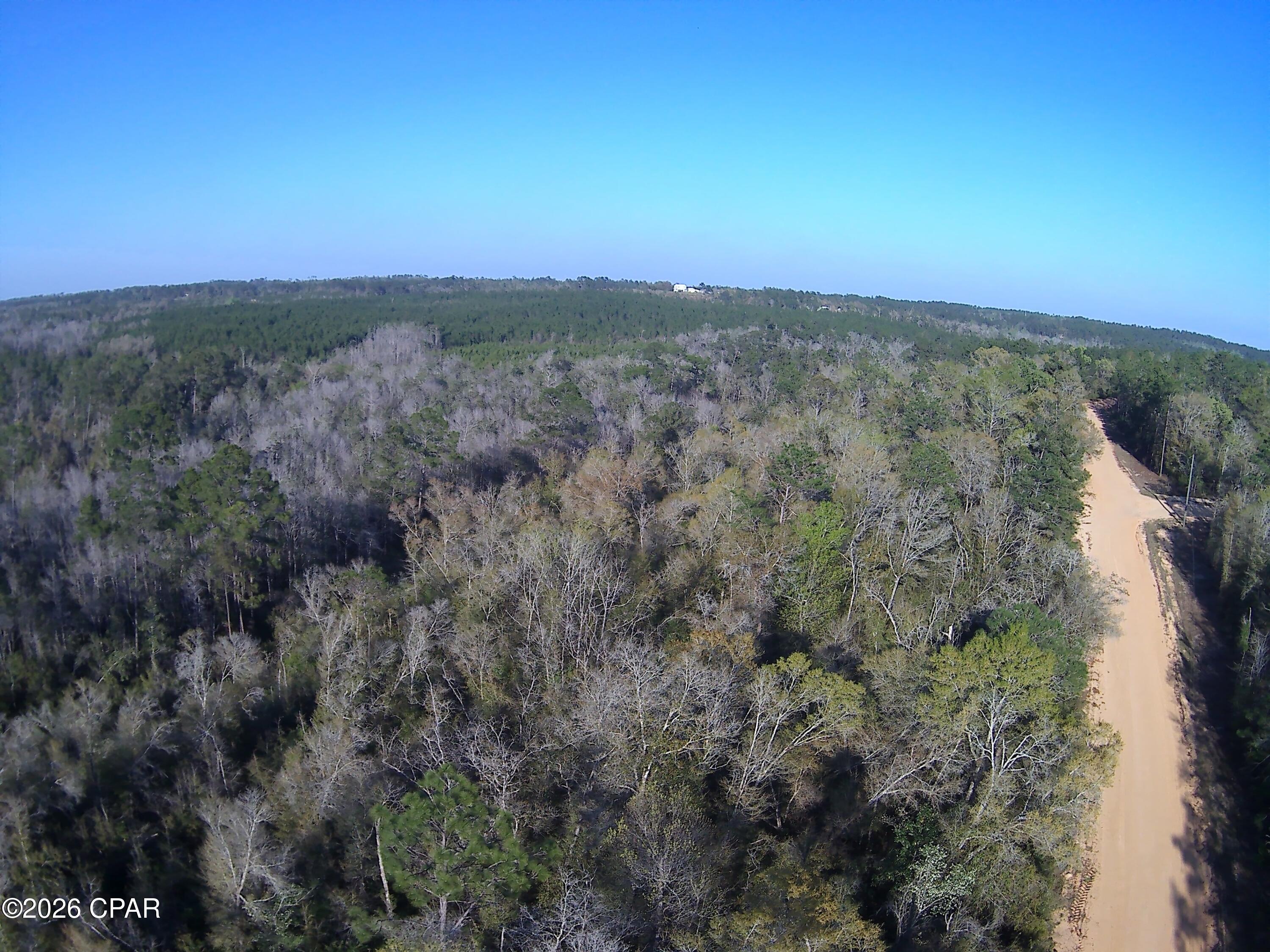 TBD Olivia Drive, Alford, FL 32420
