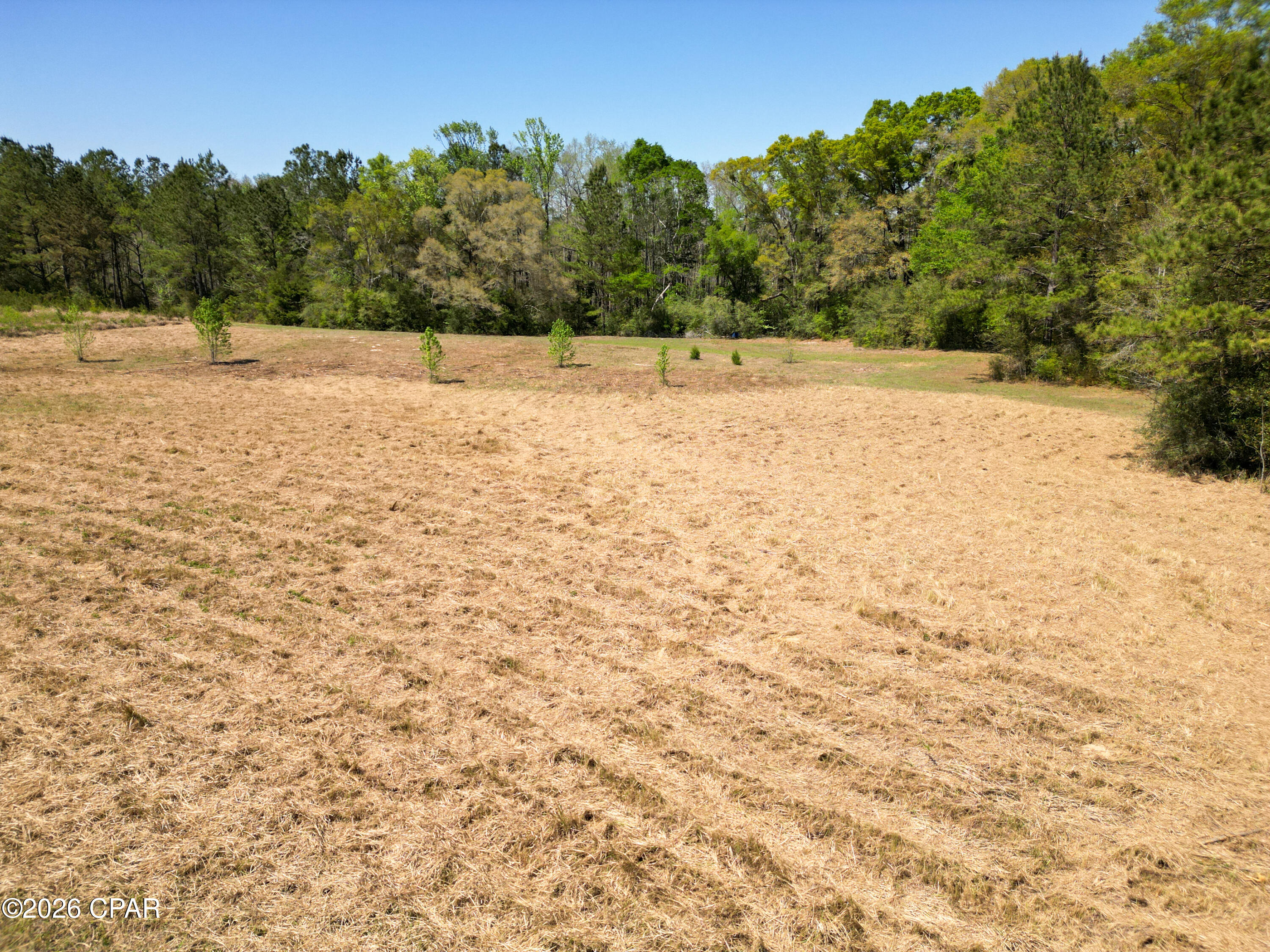 Homes for sale in Vernon, FL | Tbd River, Vernon, FL 32462 | MLS# 787554