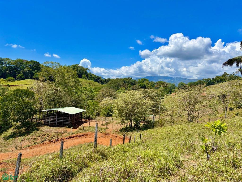  bed Land For Sale in Puntarenas, Puntarenas - 1