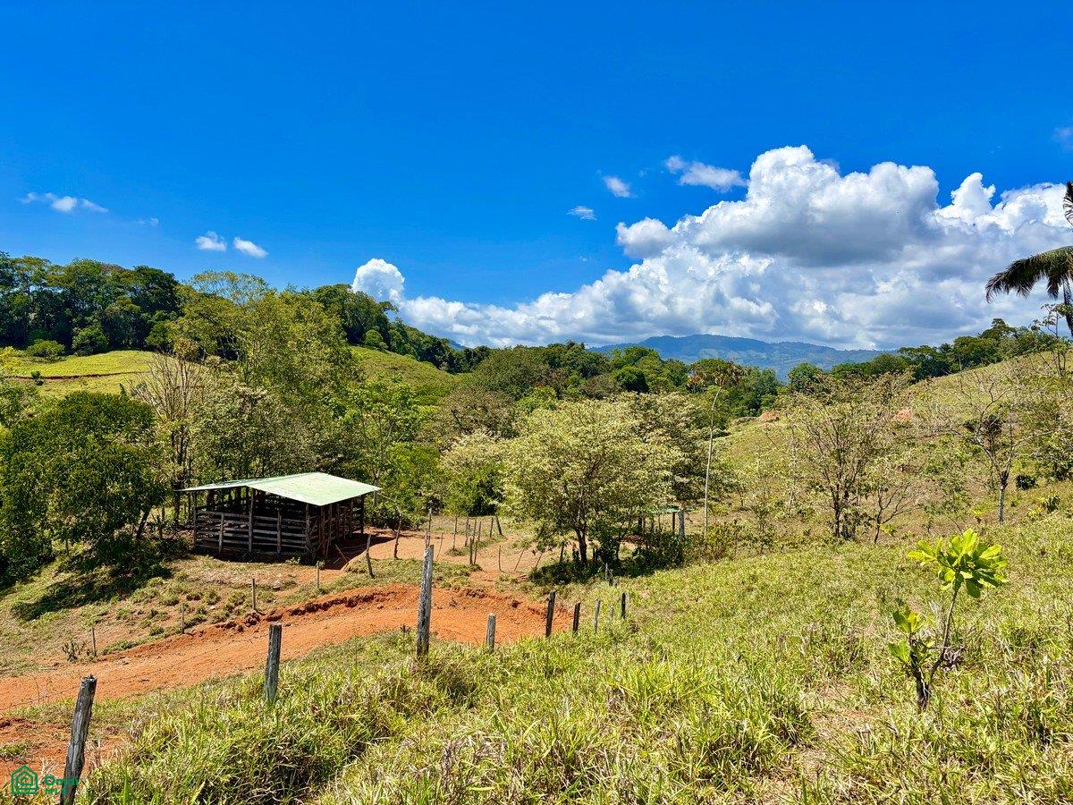  bed Land For Sale in Puntarenas, Puntarenas - 1