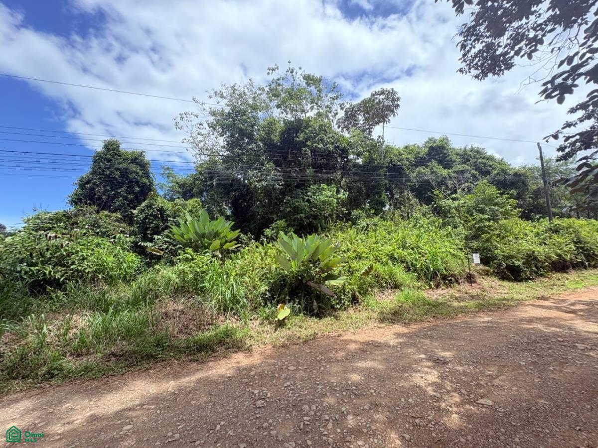 0 bed Land For Sale in Osa, Puntarenas - 1