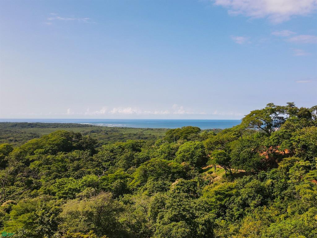  bed Land For Sale in Santa Cruz, Guanacaste - 1