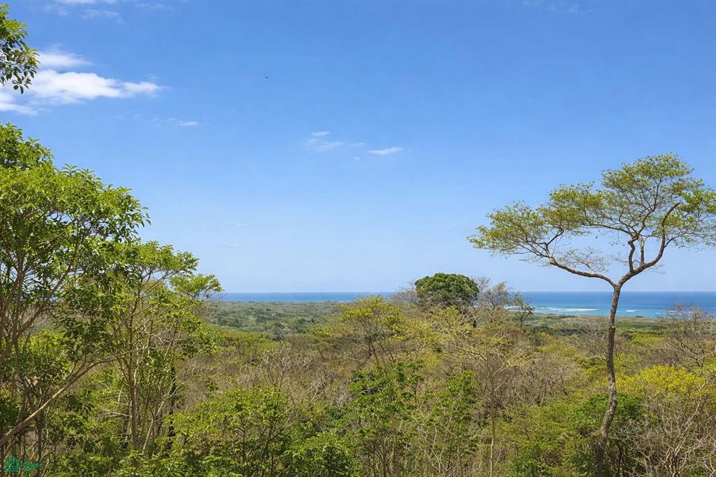  bed Land For Sale in Tamarindo, Guanacaste - 1