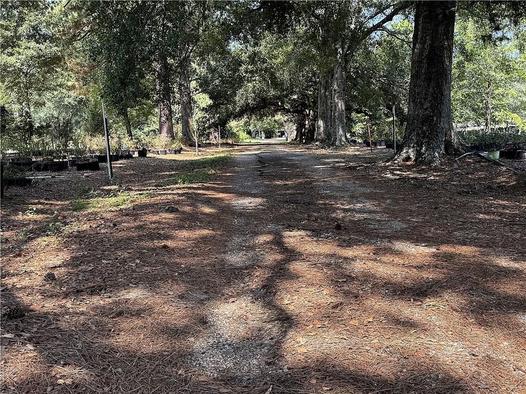Photo 4 of Land for sale at 88 Acres Joseph's Rd, Folsom, LA 70437 | MLS# 2550335 | Listing updated on 2026-09-04