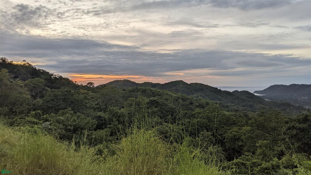  bed Land For Sale in Santa Cruz, Guanacaste - 1
