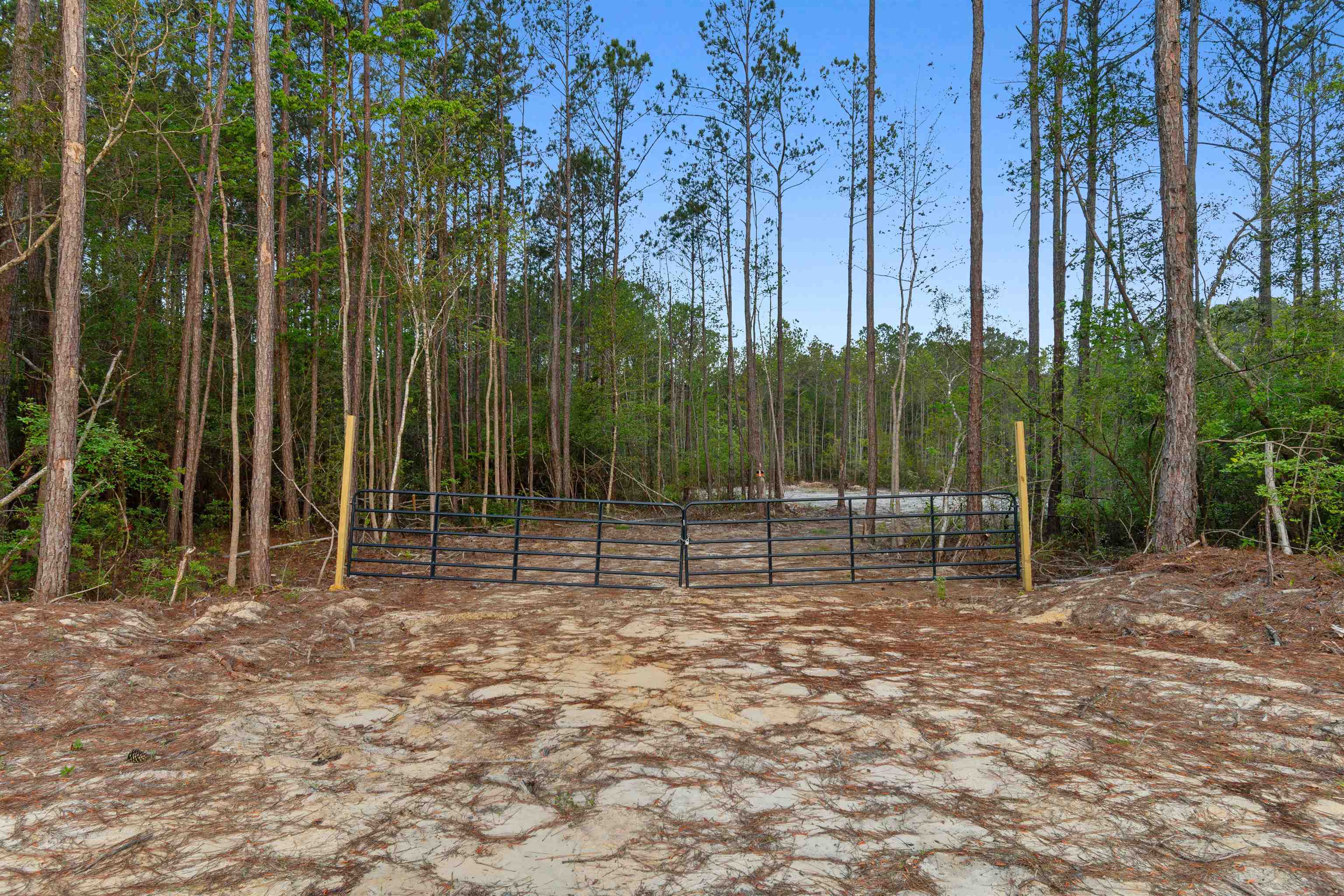 835 Indian Hut Rd. Georgetown, SC 29440