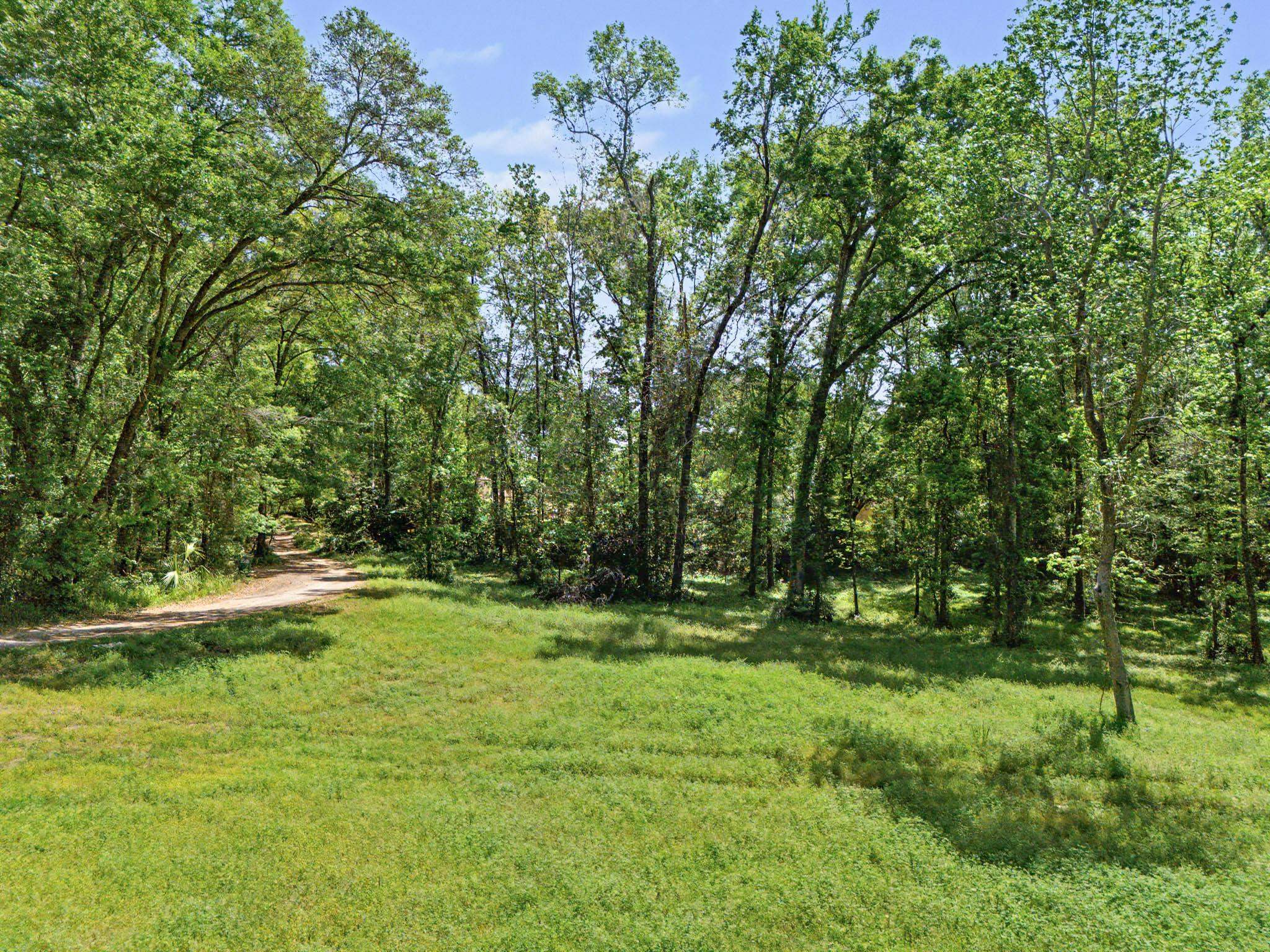 Lot 24-A  Seabiscuit Trail , Tallahassee, FL, 