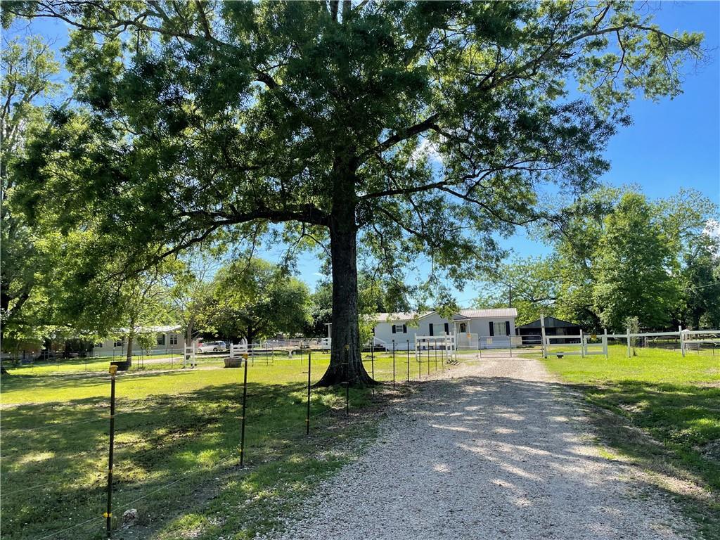 Photo 4 of Single family home for sale at 49317, 49313 Woodhaven Rd, Tickfaw, LA 70466 | MLS# 2551341 | Listing updated on 2026-09-12