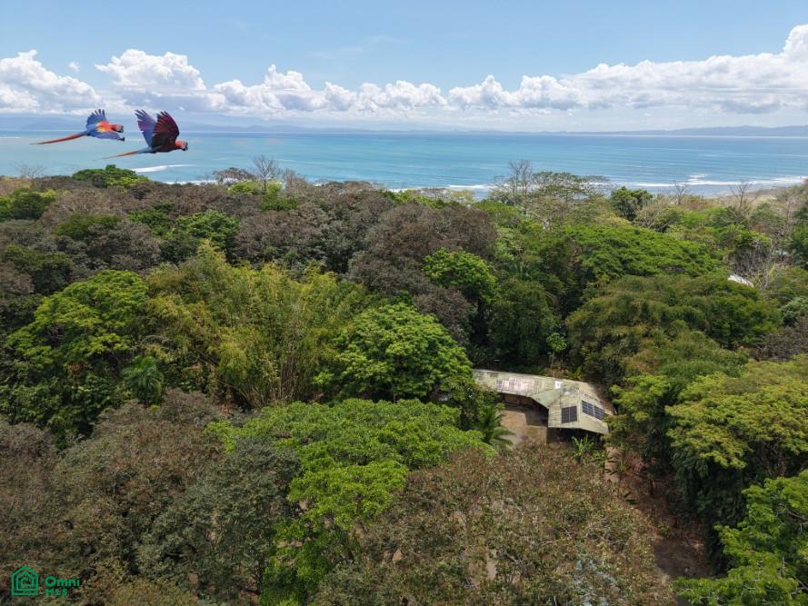  bed Land For Sale in Golfito, Puntarenas - 1