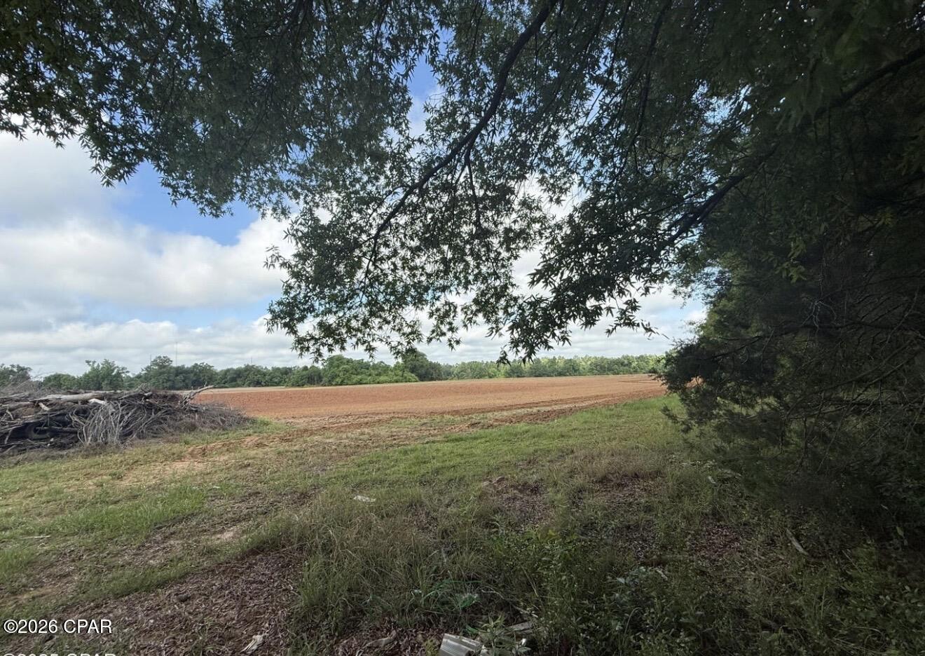 Listing photo id 9 for 3171 Highway 73