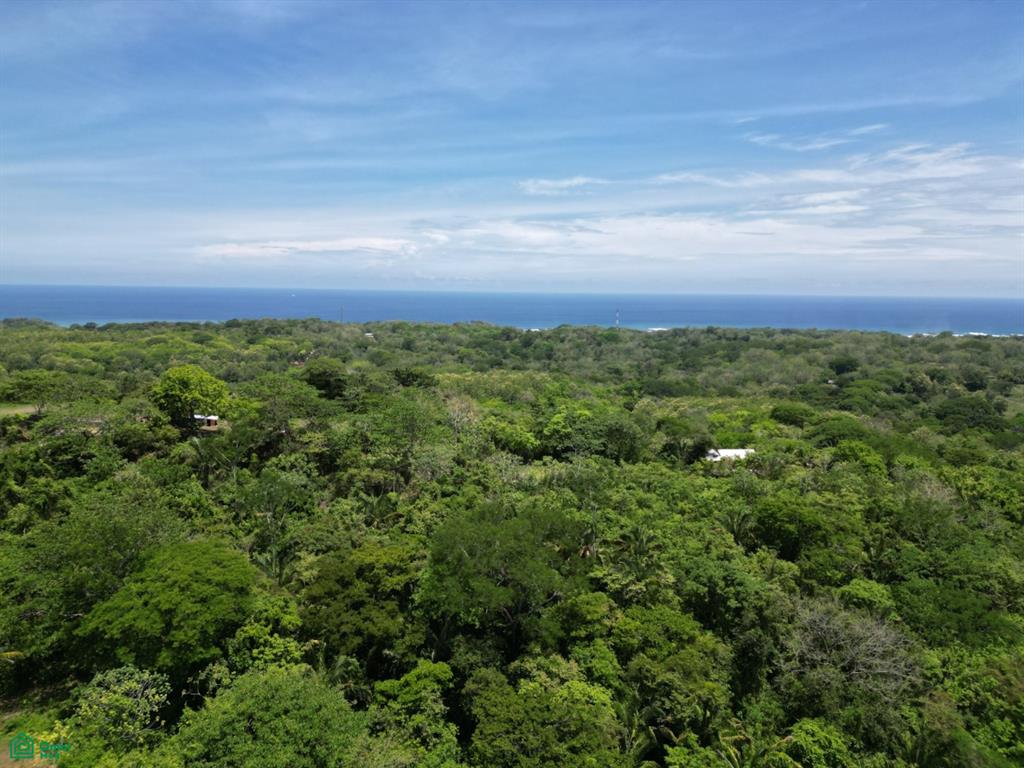  bed Land For Sale in Santa Cruz, Guanacaste - 1