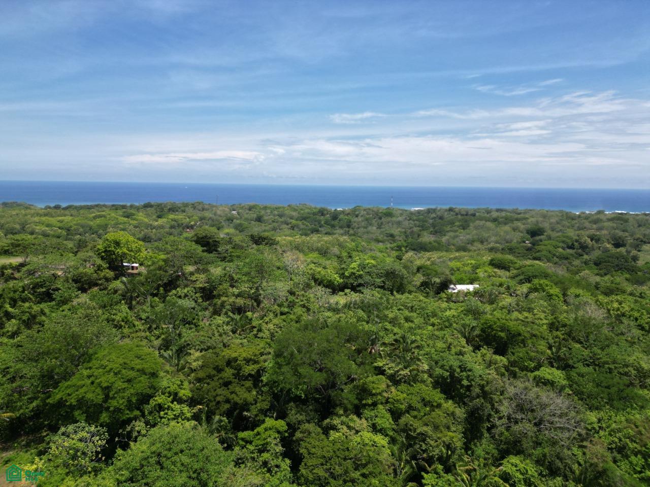  bed Land For Sale in Santa Cruz, Guanacaste - 1