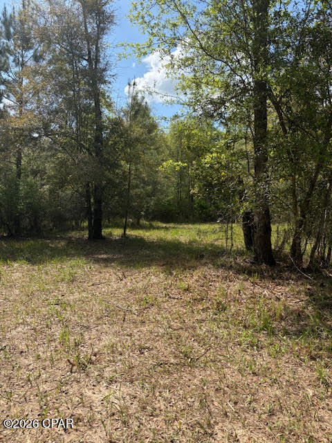 1st image of 0 Iron Brg Rd, Marianna, FL 32448 | MLS# 788161