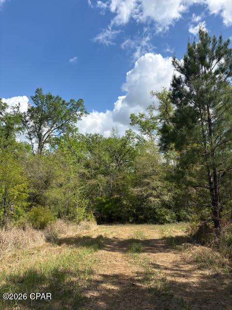 4th image of 0 Iron Brg Rd, Marianna, FL 32448 | MLS# 788161
