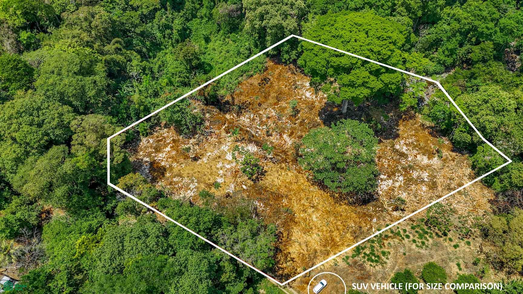  bed Land For Sale in Osa, Puntarenas - 1