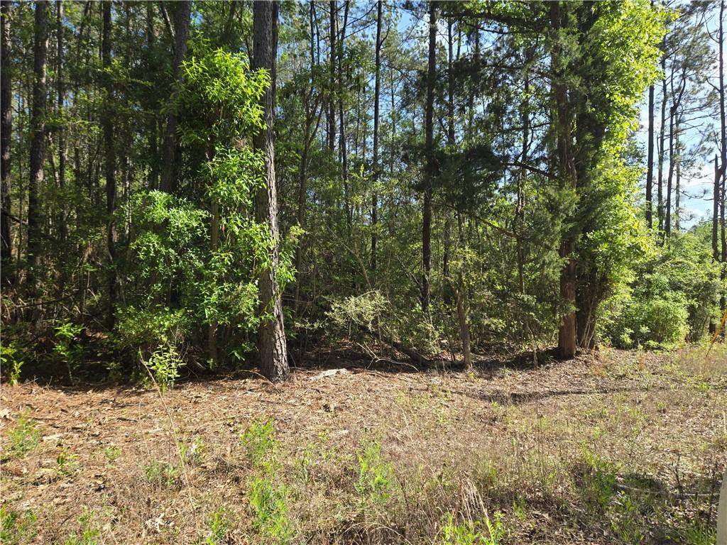 Homes for sale in Poplarville, MS | 0 Arlena Ln, Poplarville, MS 39470 | MLS# 2552340