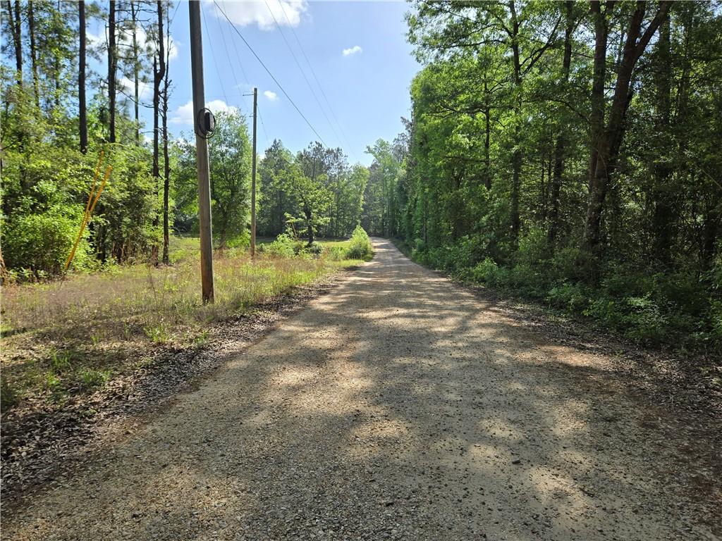 Homes for sale in Poplarville, MS | 0 Arlena Ln, Poplarville, MS 39470 | MLS# 2552340