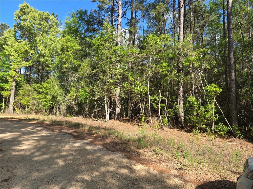 Homes for sale in Poplarville, MS | 0 Arlena Ln, Poplarville, MS 39470 | MLS# 2552340