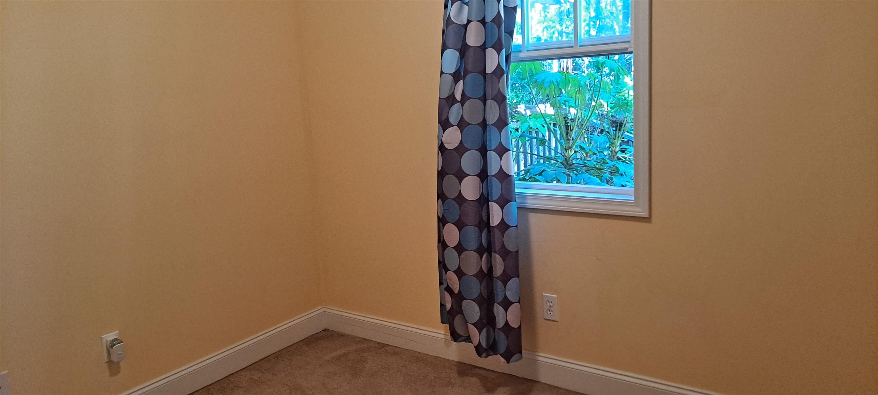 2609359 | Photo 20