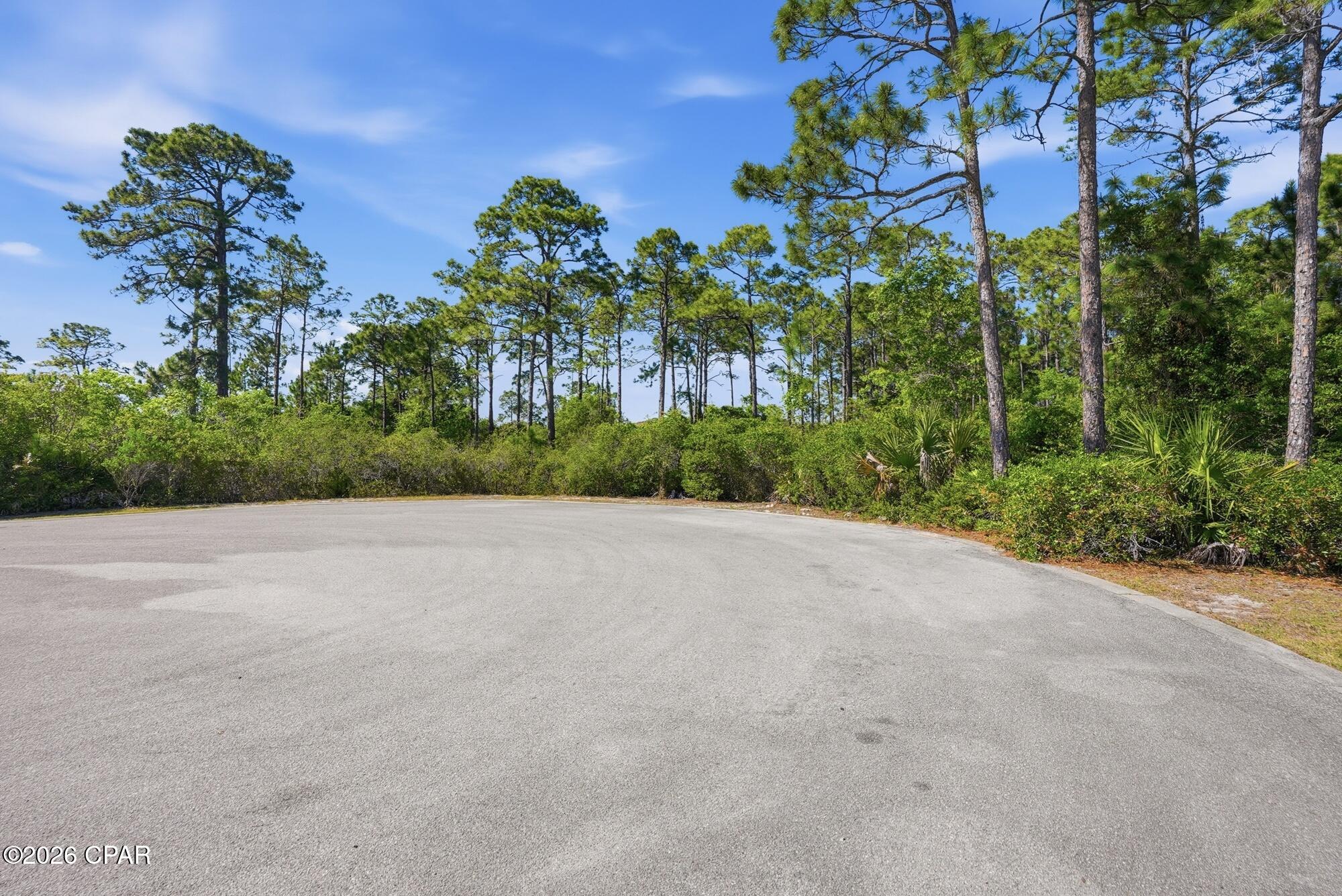 Image 17 For 105 Via Flavia Street