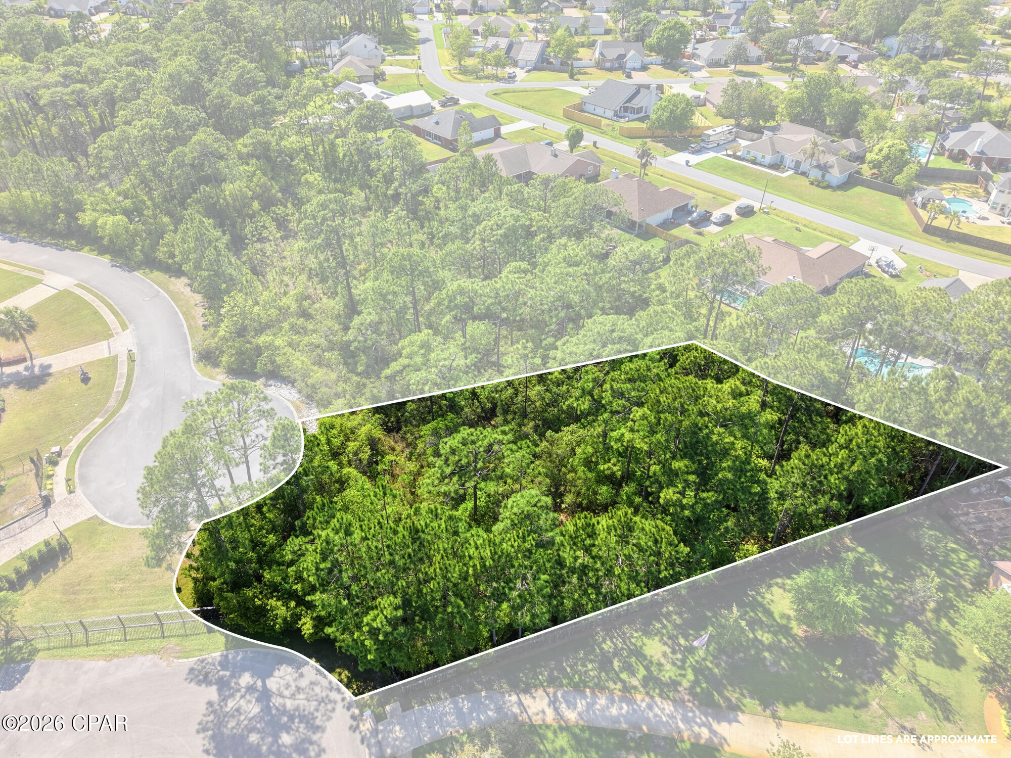 Image 3 For 105 Via Flavia Street