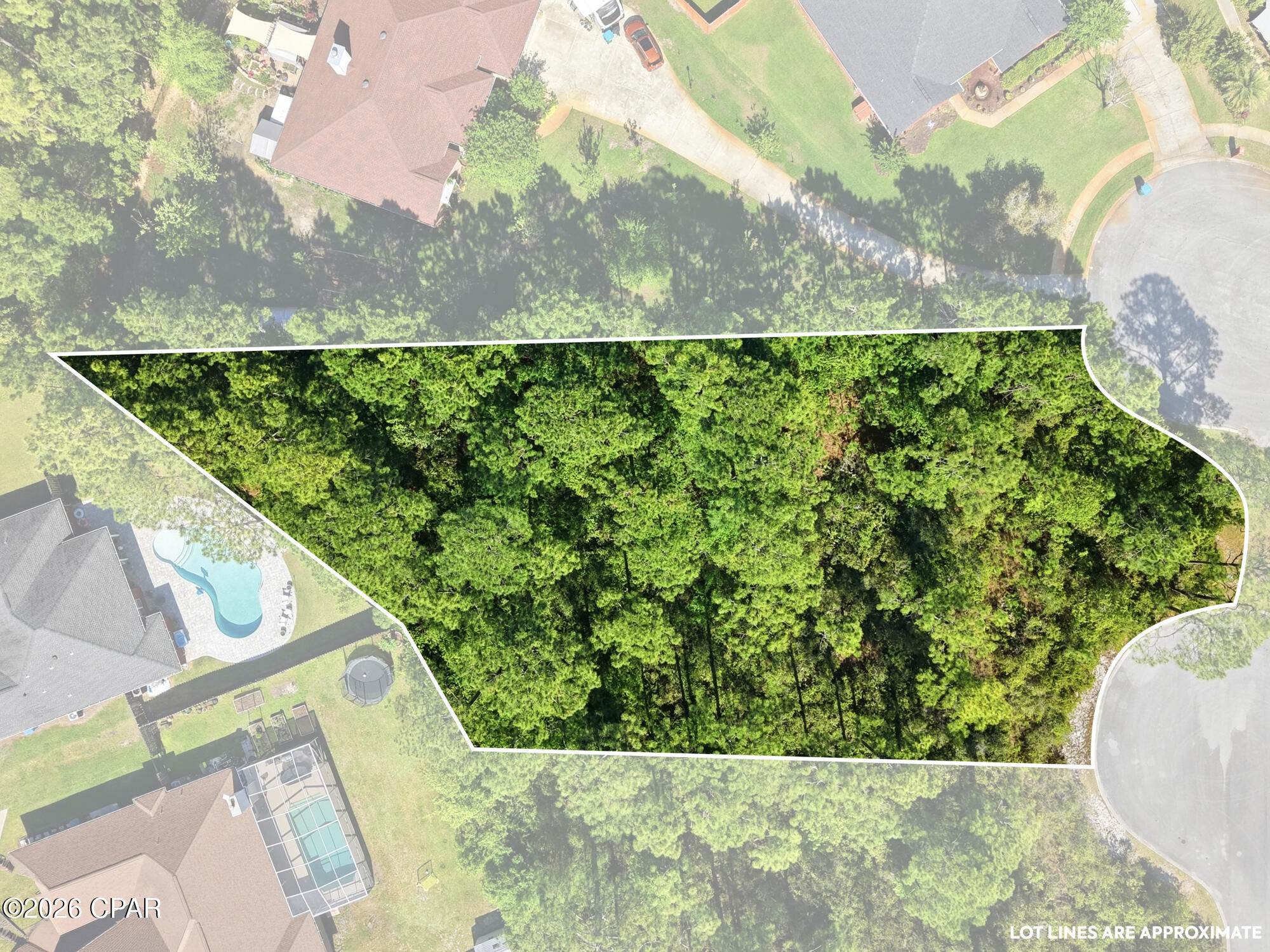 Image 6 For 105 Via Flavia Street