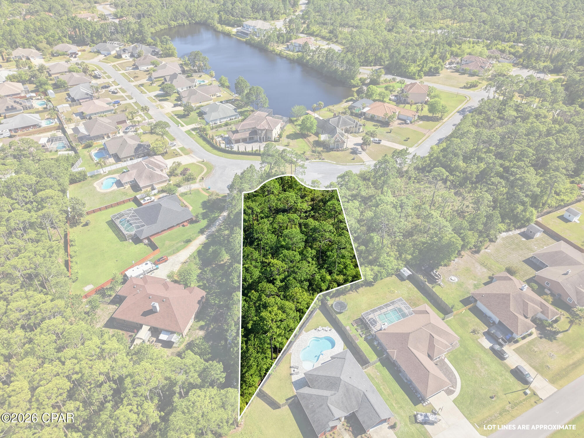 Image 8 For 105 Via Flavia Street