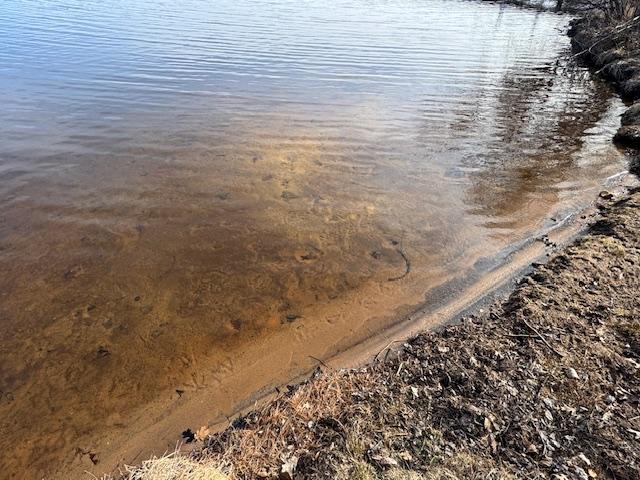 Duck Lake Property 4515 Chain O Lakes Rd Photo 5