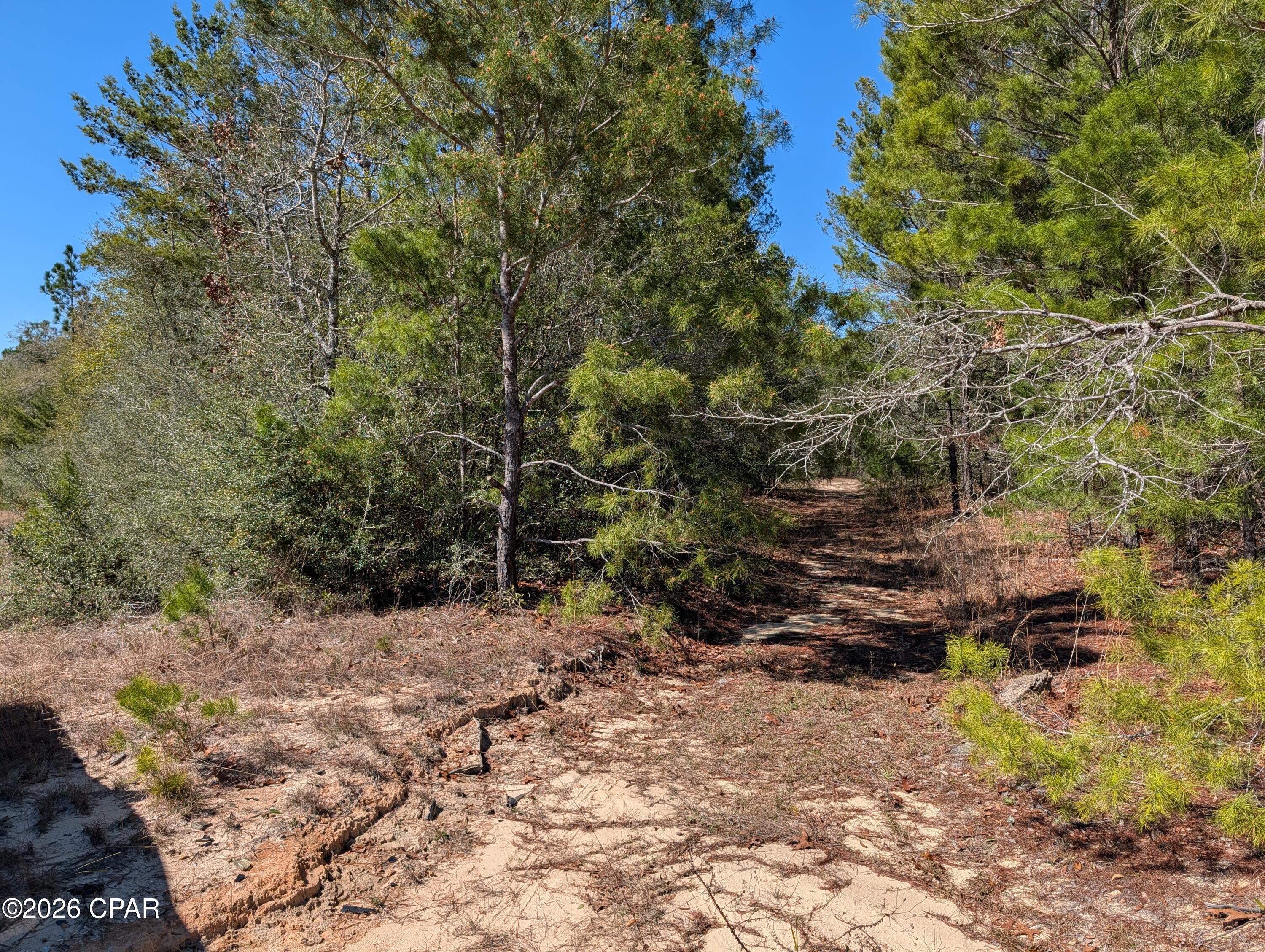 2nd image of Tbd Willow Bnd Dr #TBD, Defuniak Springs, FL 32433 | MLS# 788222