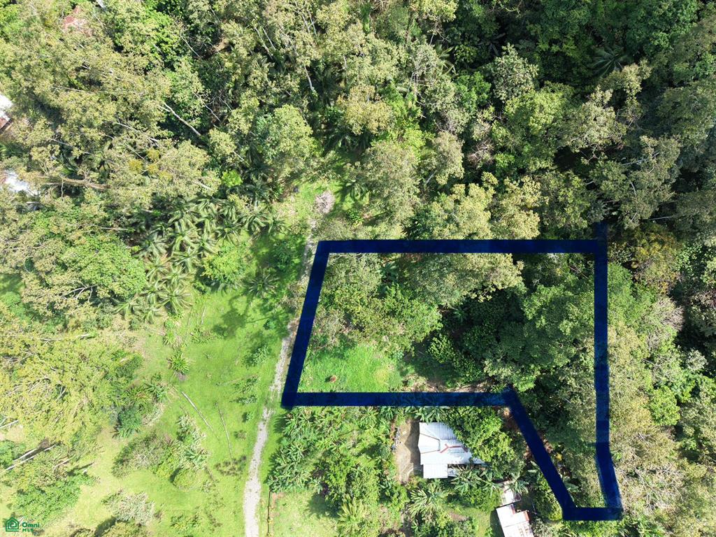  bed Land For Sale in Talamanca, Limon - 1