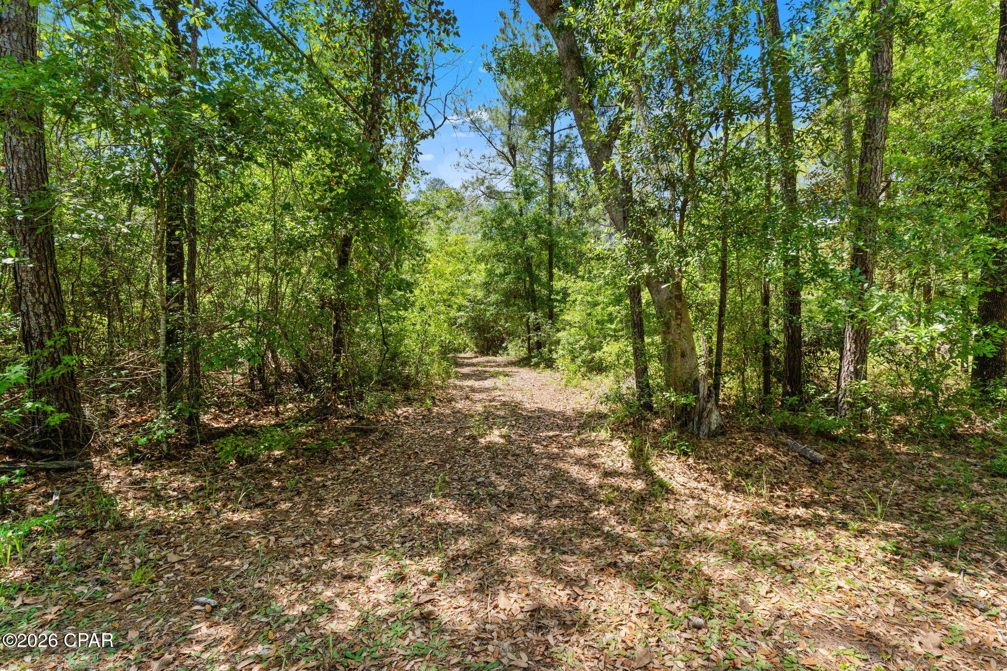 Image 3 For 0 Cypress Lane