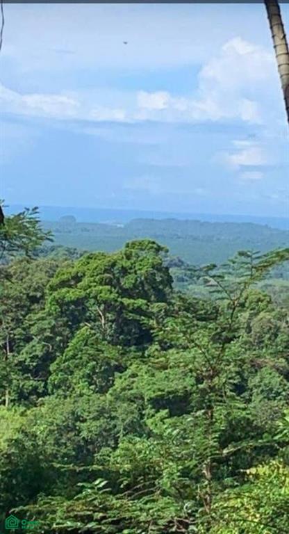 0 bed Land For Sale in , Puntarenas - 1