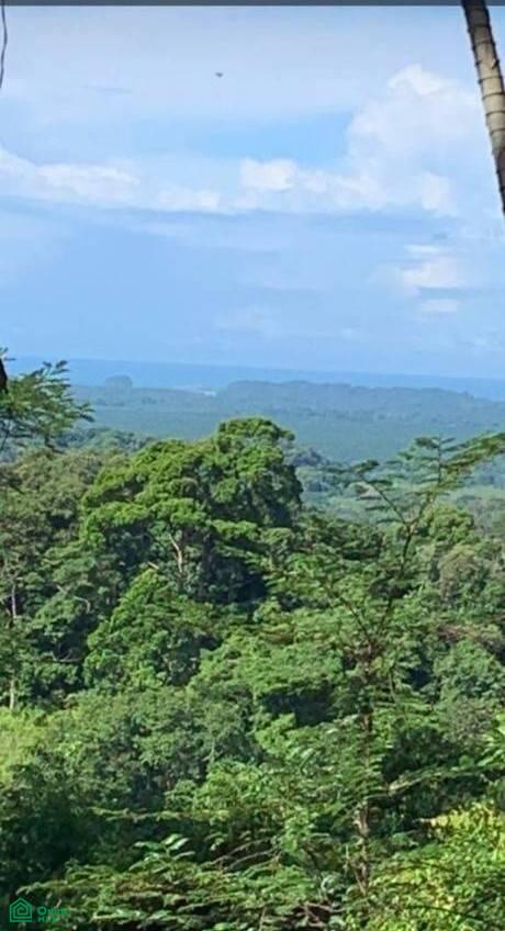 0 bed Land For Sale in , Puntarenas - 1