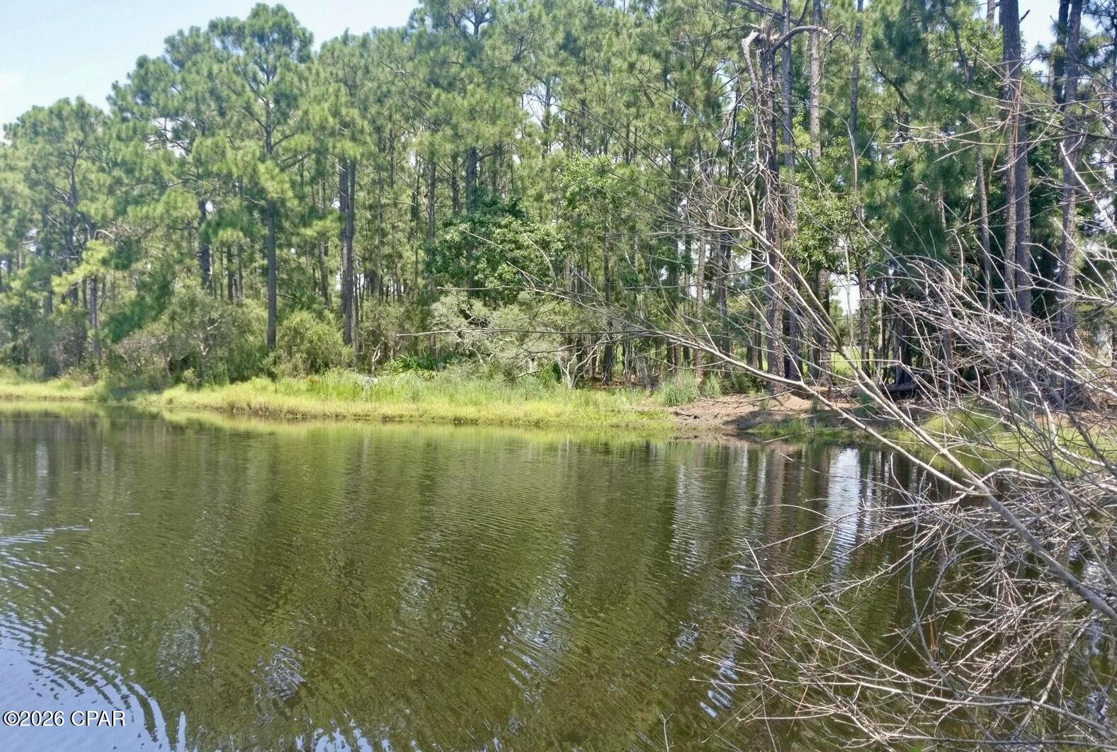 Image 4 For 158 Grand Heron Drive