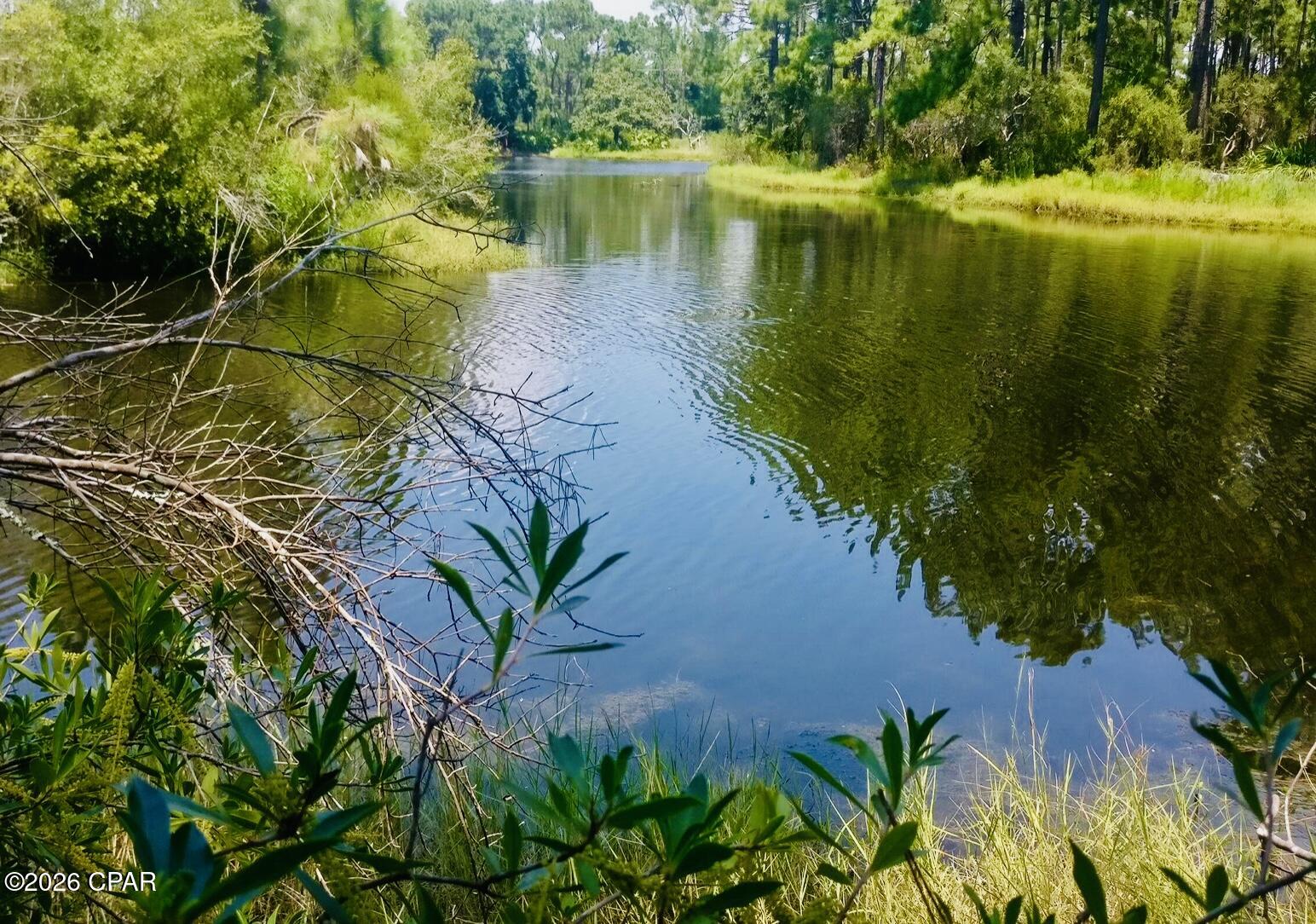 Image 5 For 158 Grand Heron Drive