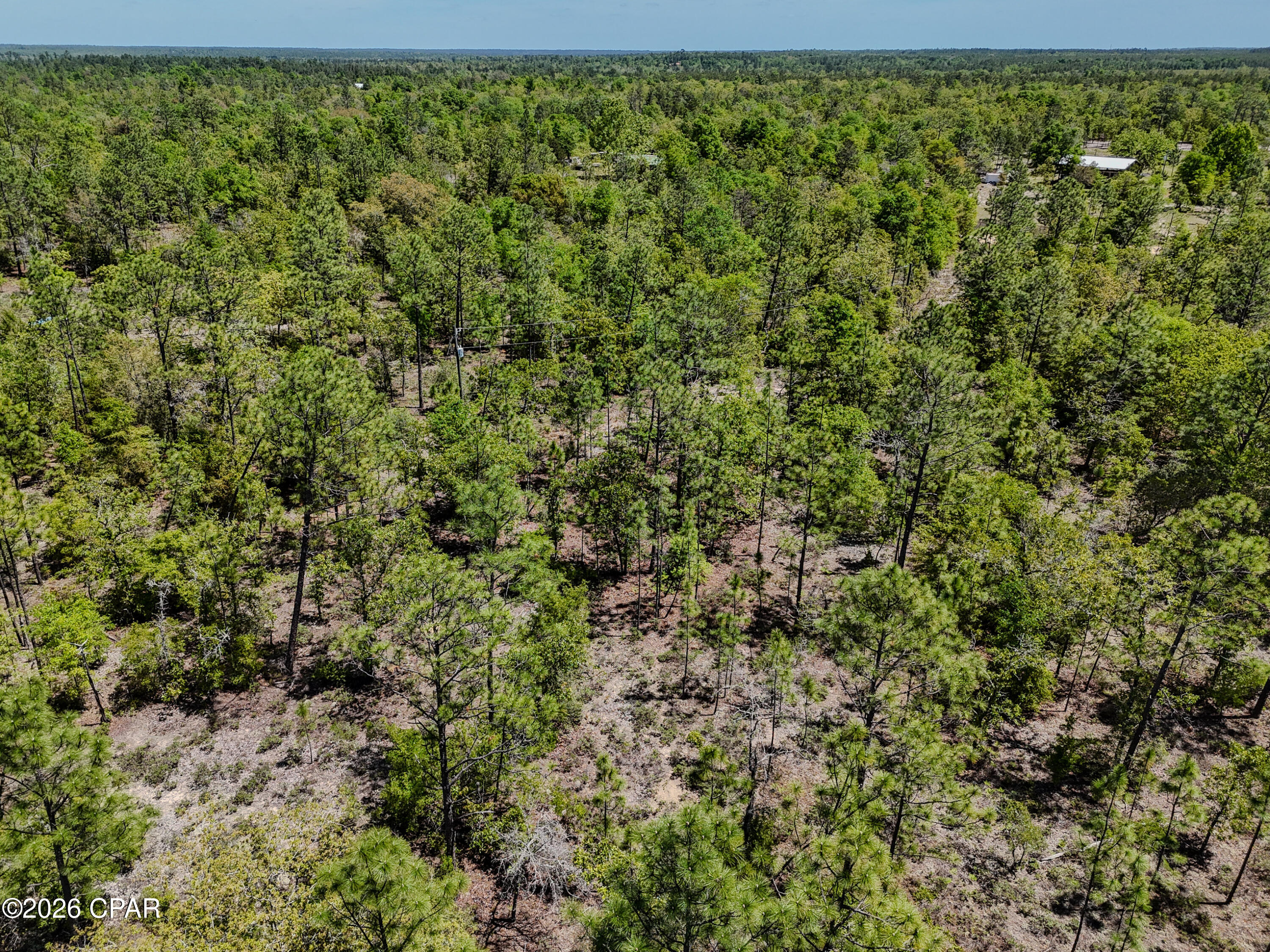 Image 7 For 21937 Clarks Road