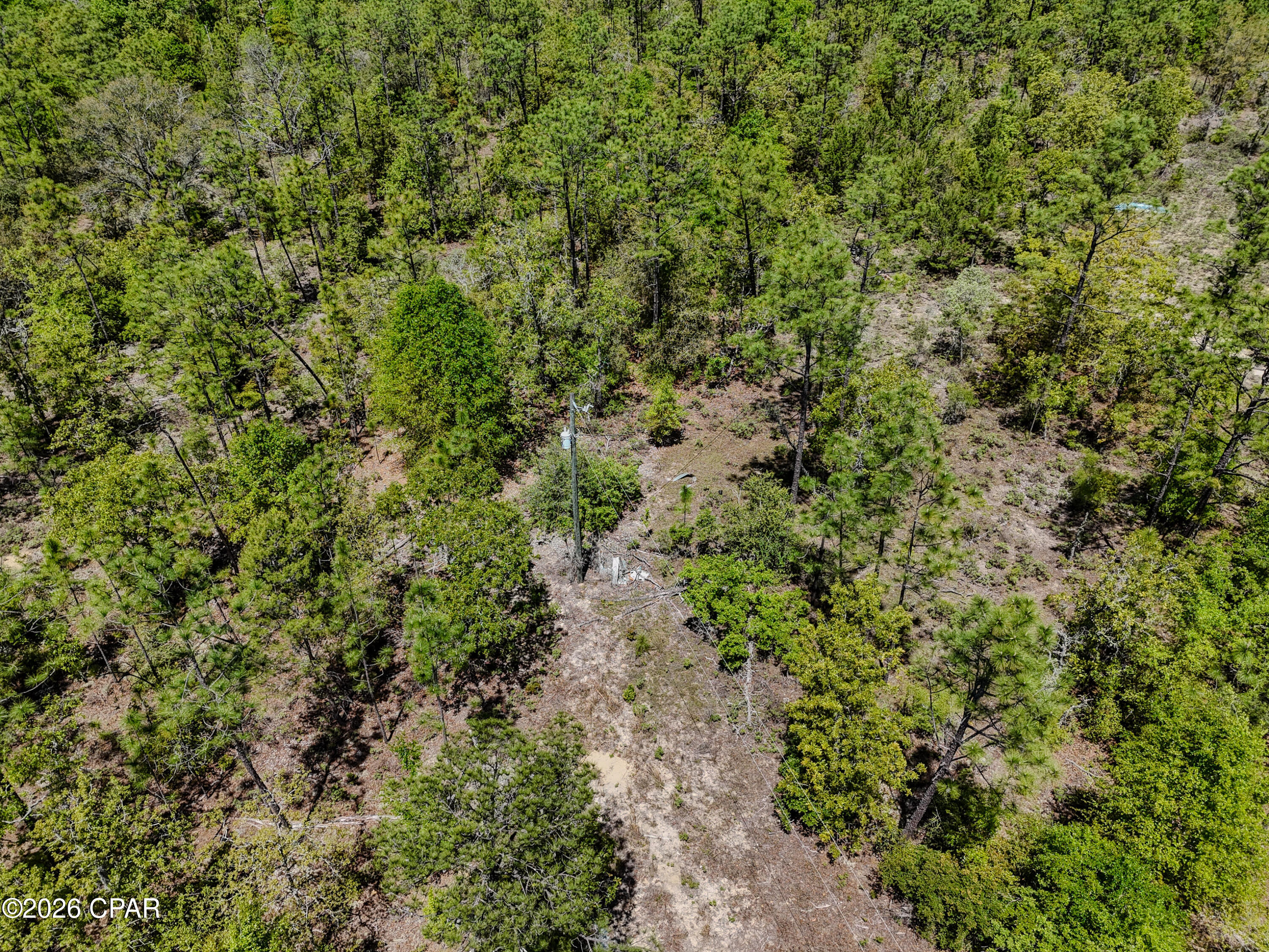 Image 8 For 21937 Clarks Road