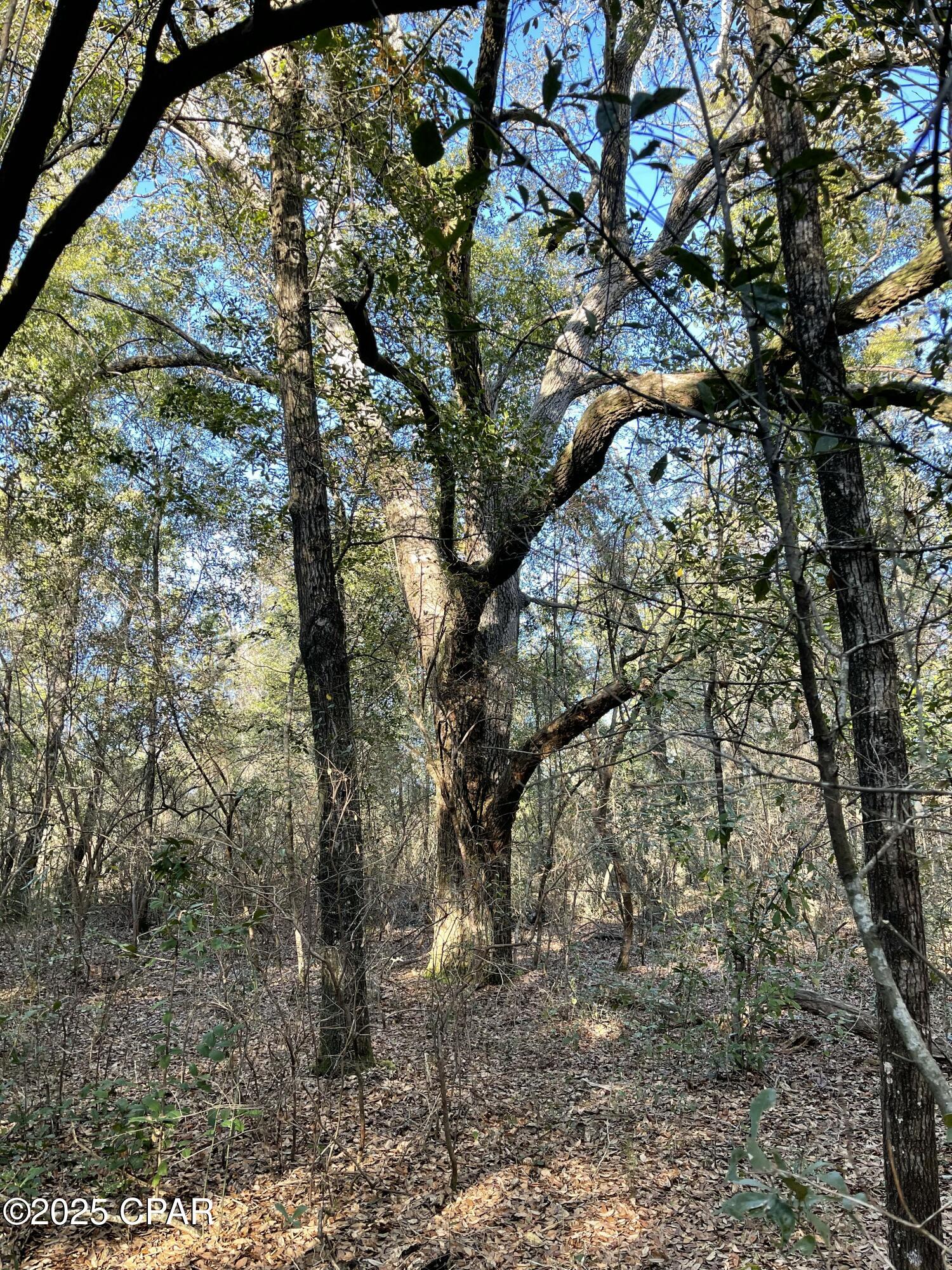 Image 16 For 0000 Bent Oaks Road