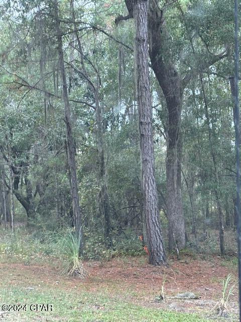 Photo 3 of Land for sale at 0000 Everest Dr, Chipley, FL 32428 | MLS# 788302 | Listing updated on 2026-10-15