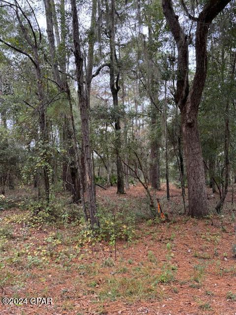 Photo 4 of Land for sale at 0000 Everest Dr, Chipley, FL 32428 | MLS# 788302 | Listing updated on 2026-10-15