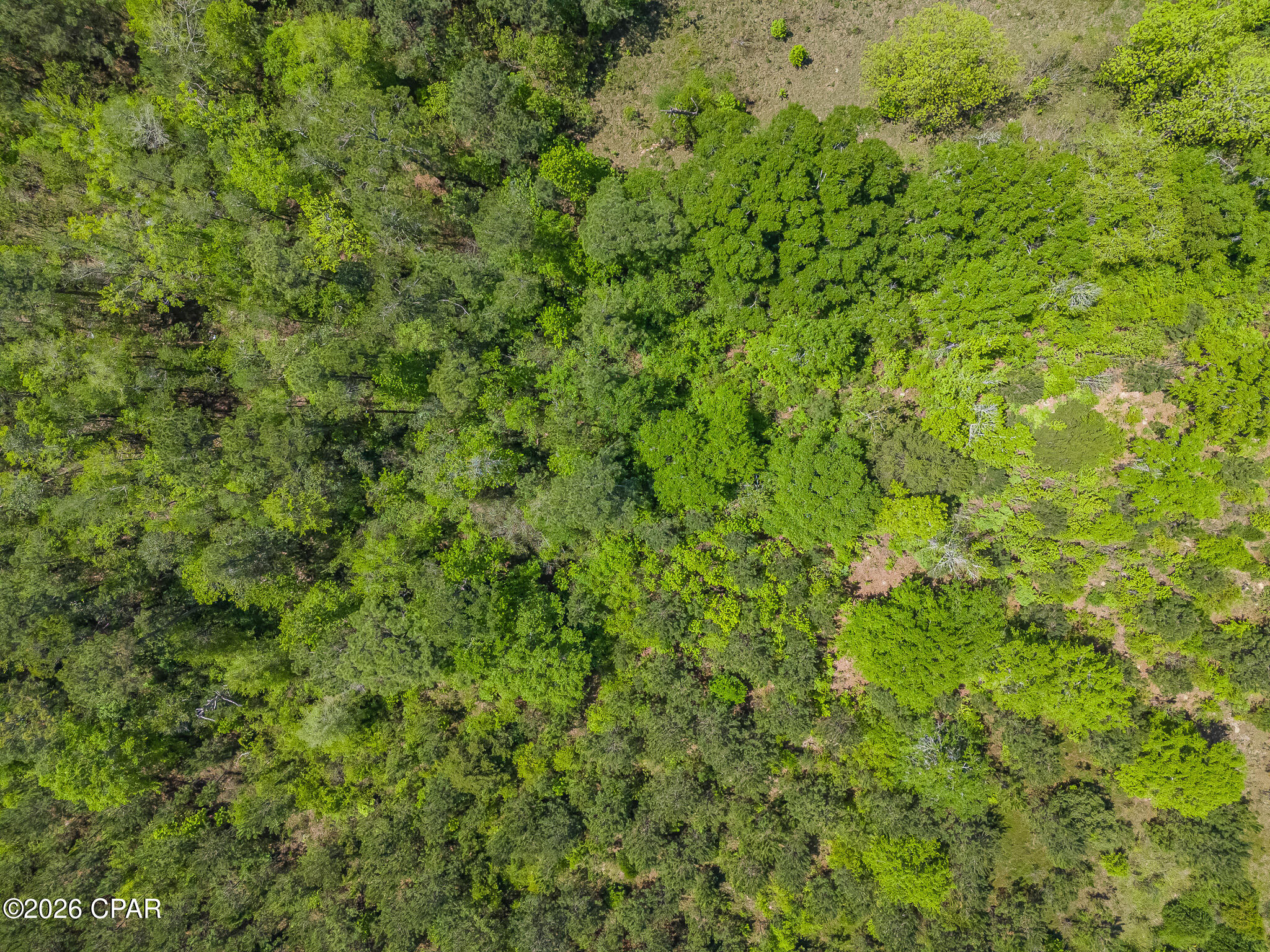 Image 15 For 767 & 783 Highway 90