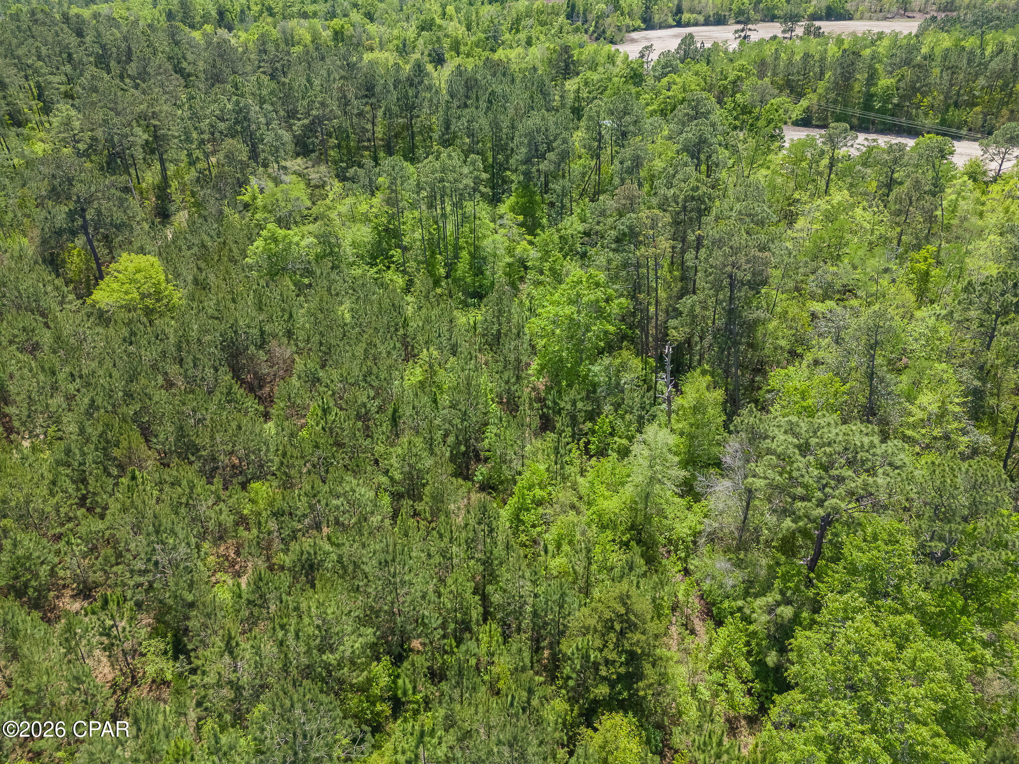 Image 15 For 783 Highway 90