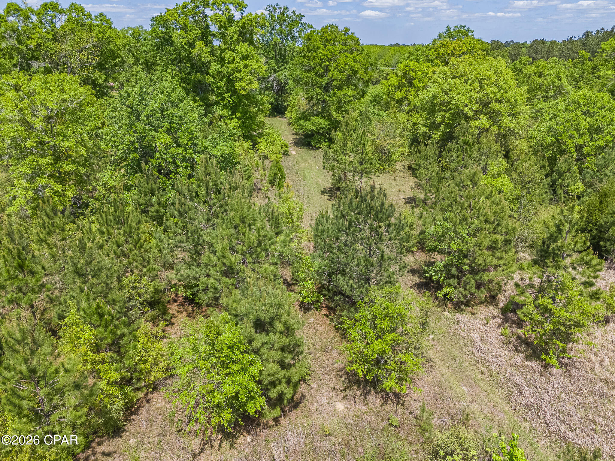 Image 16 For 783 Highway 90