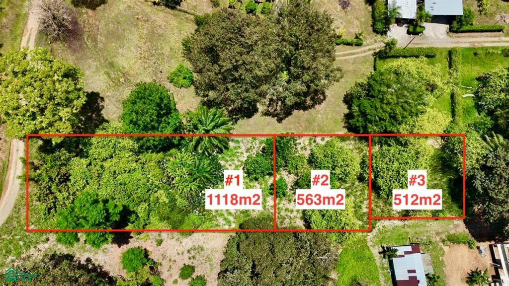 0 bed Land For Sale in Osa, Puntarenas - 1