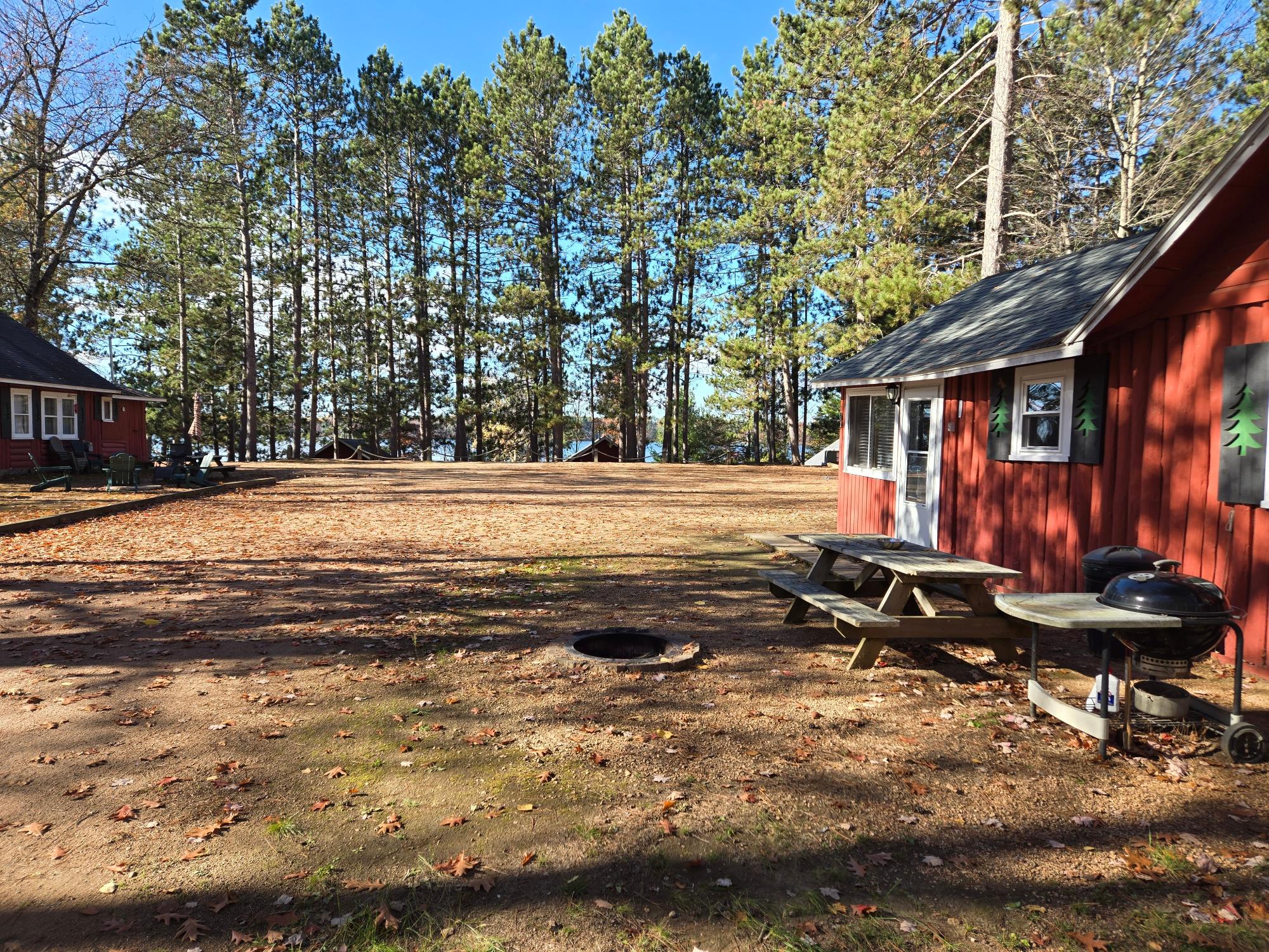 Pickerel Lake (N) Property 8698 Guest Rd Photo 5
