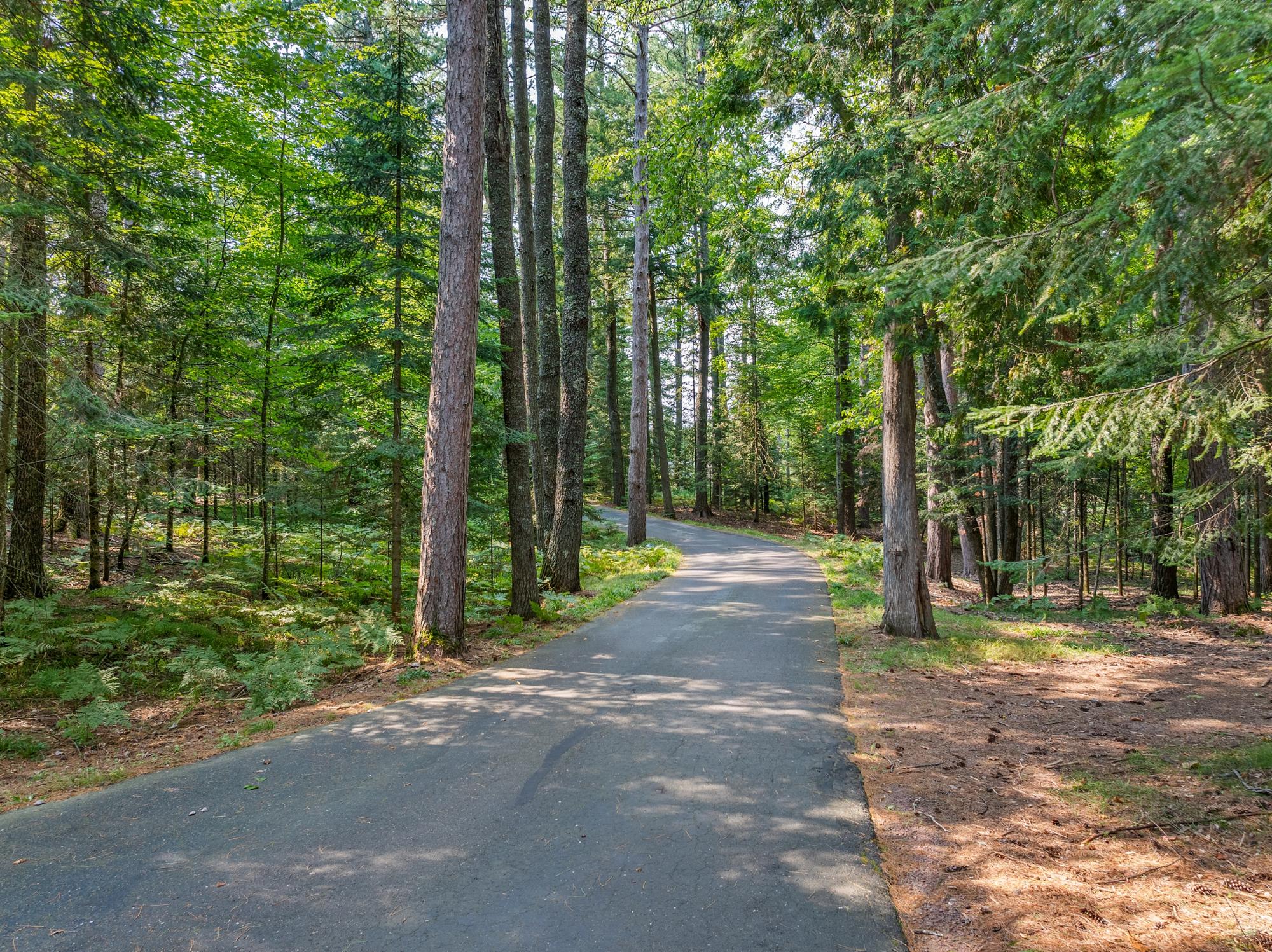 Yellow Birch Lake Property 4561 Timberlane Tr Photo 8