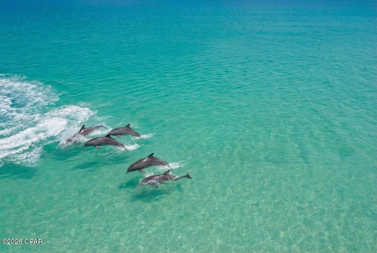 Image 85 For 7205 Thomas Drive 1206