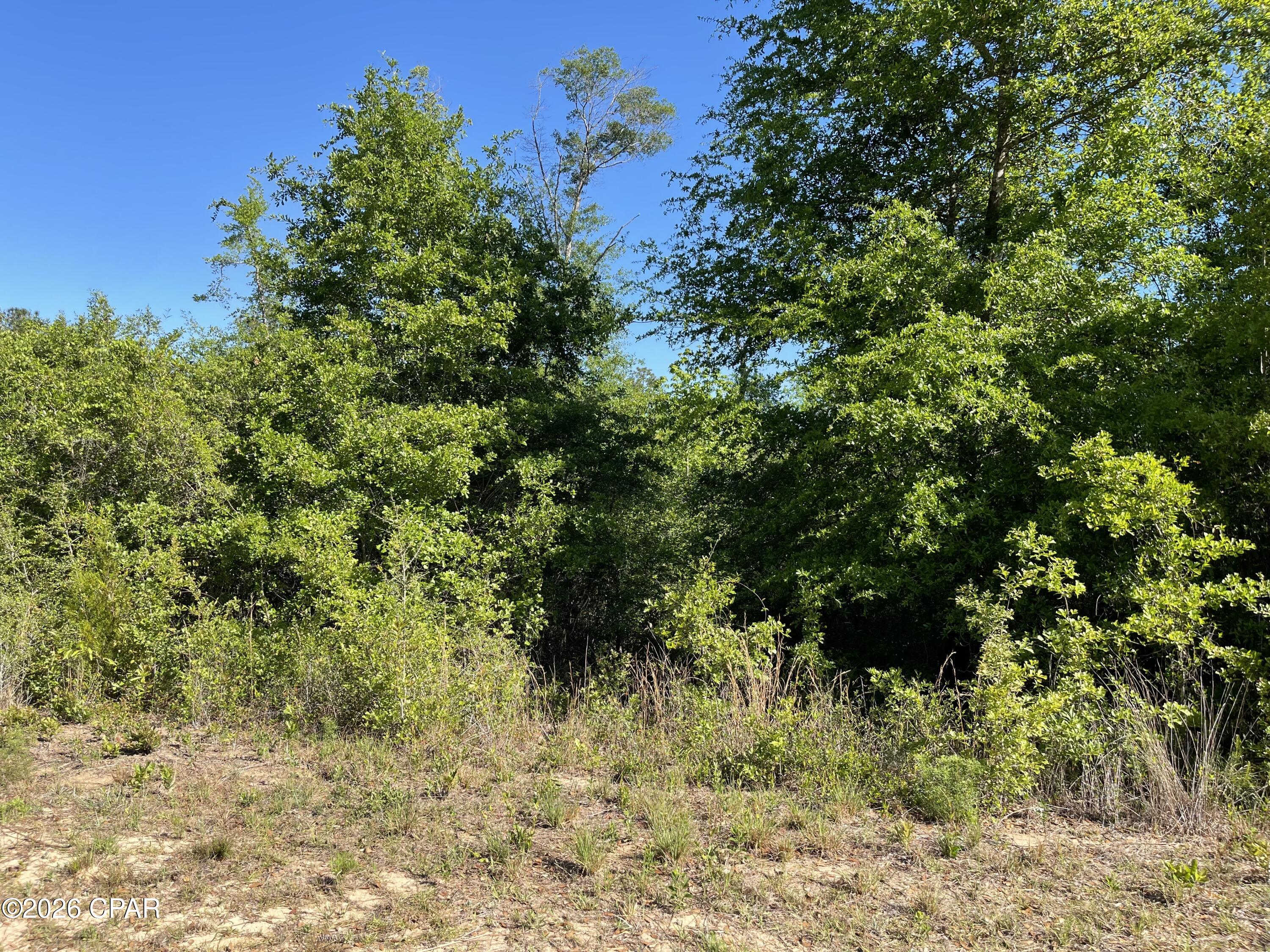 Image 2 For 0 Tanager Court